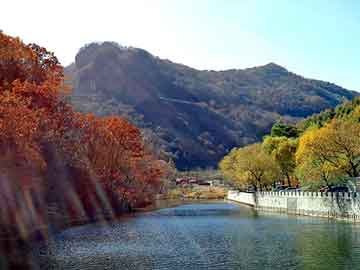 新澳天天开奖资料大全旅游团，宣统三年